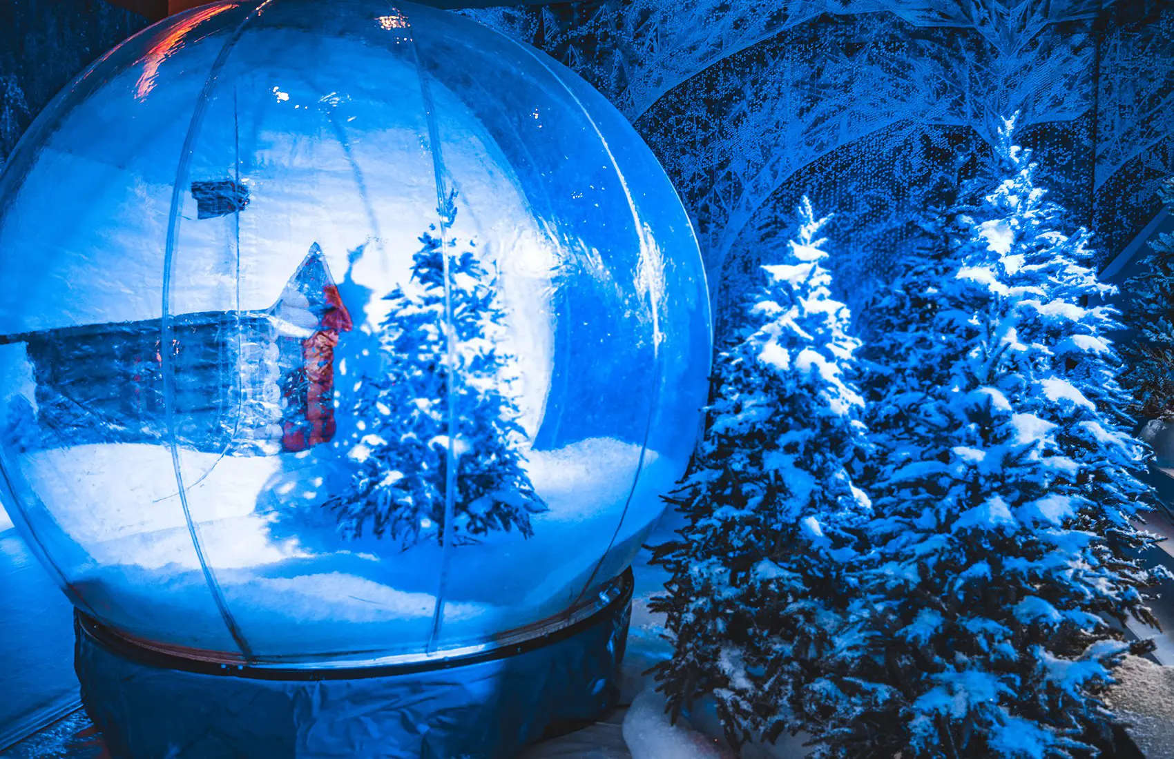 Frozen Heart Photos