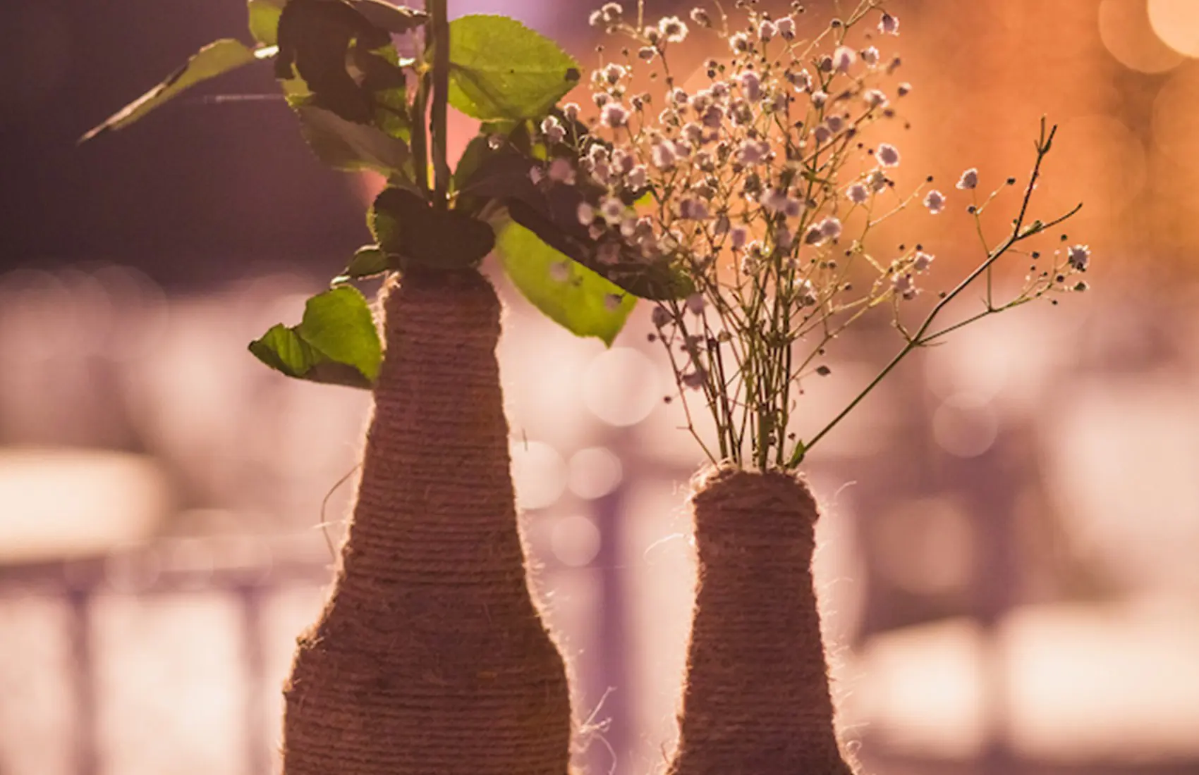 Rustic Elegance Photos