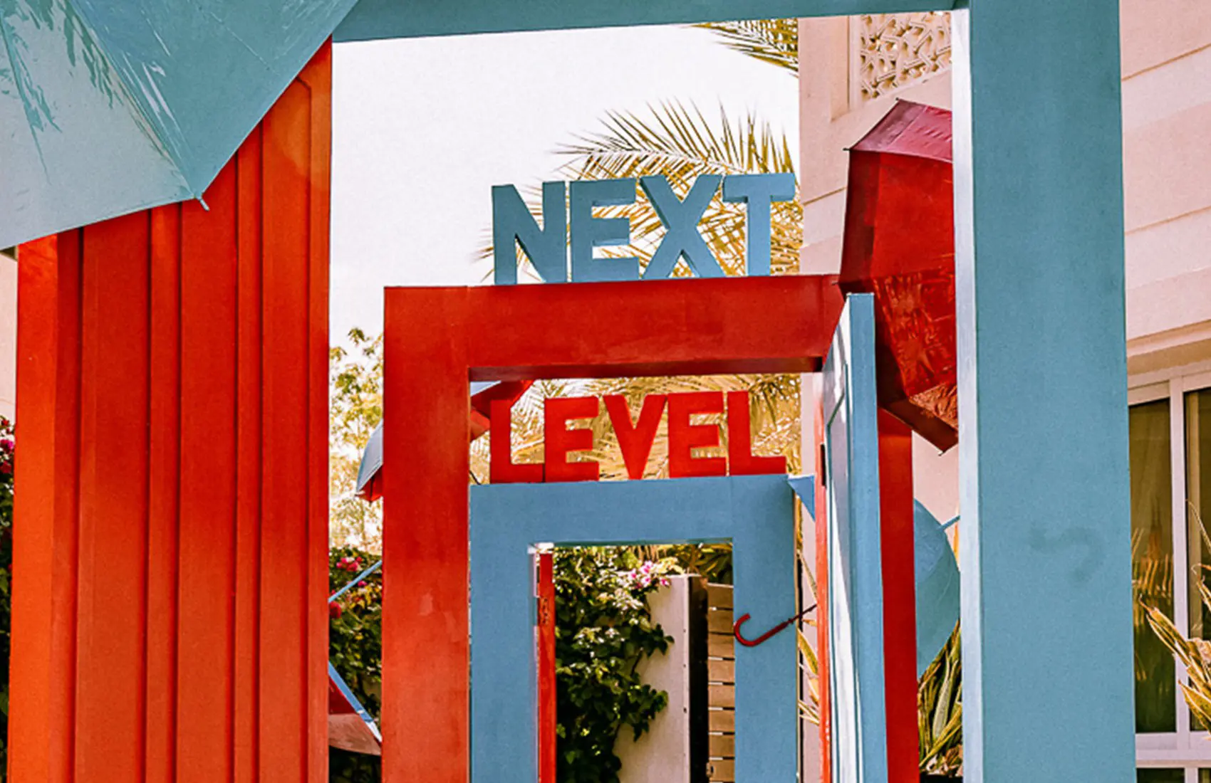 The Next Level Photos