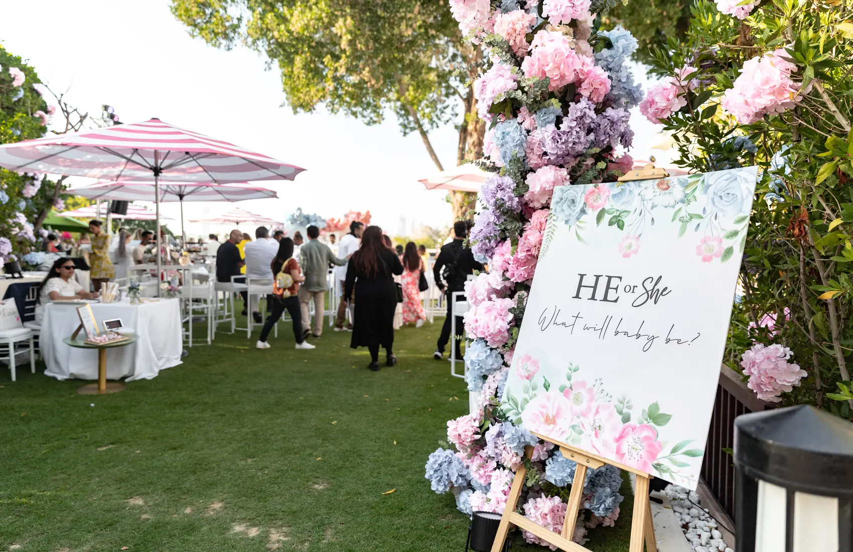 He or She? – A Grand Gender Reveal Photos