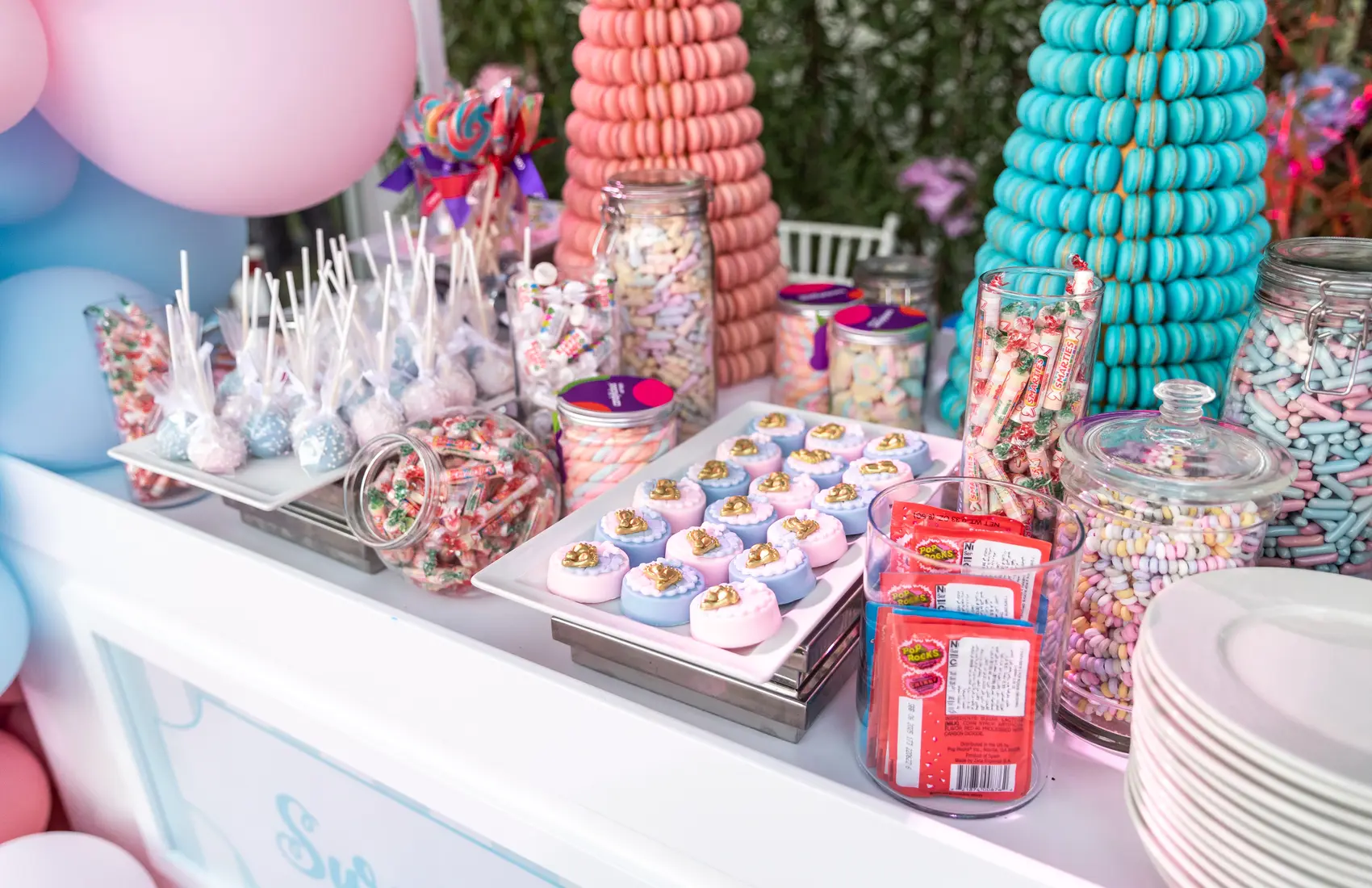 He or She? – A Grand Gender Reveal Photos
