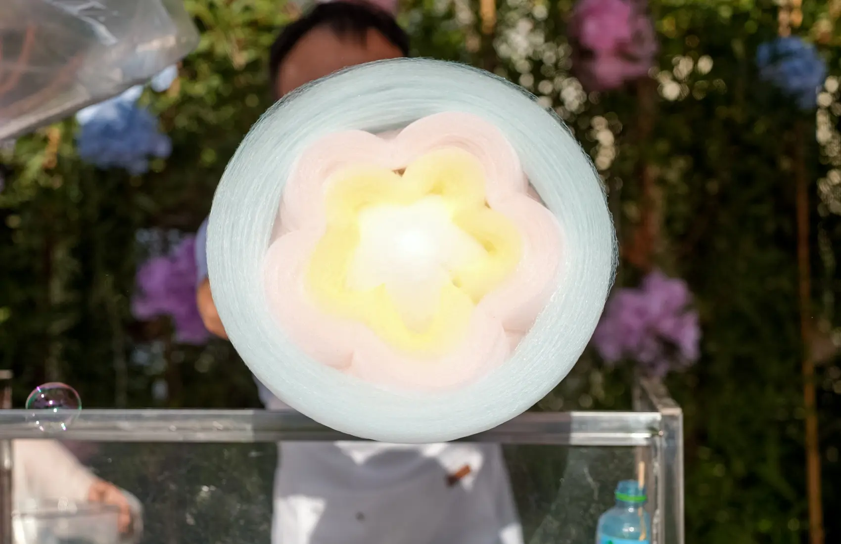 He or She? – A Grand Gender Reveal Photos