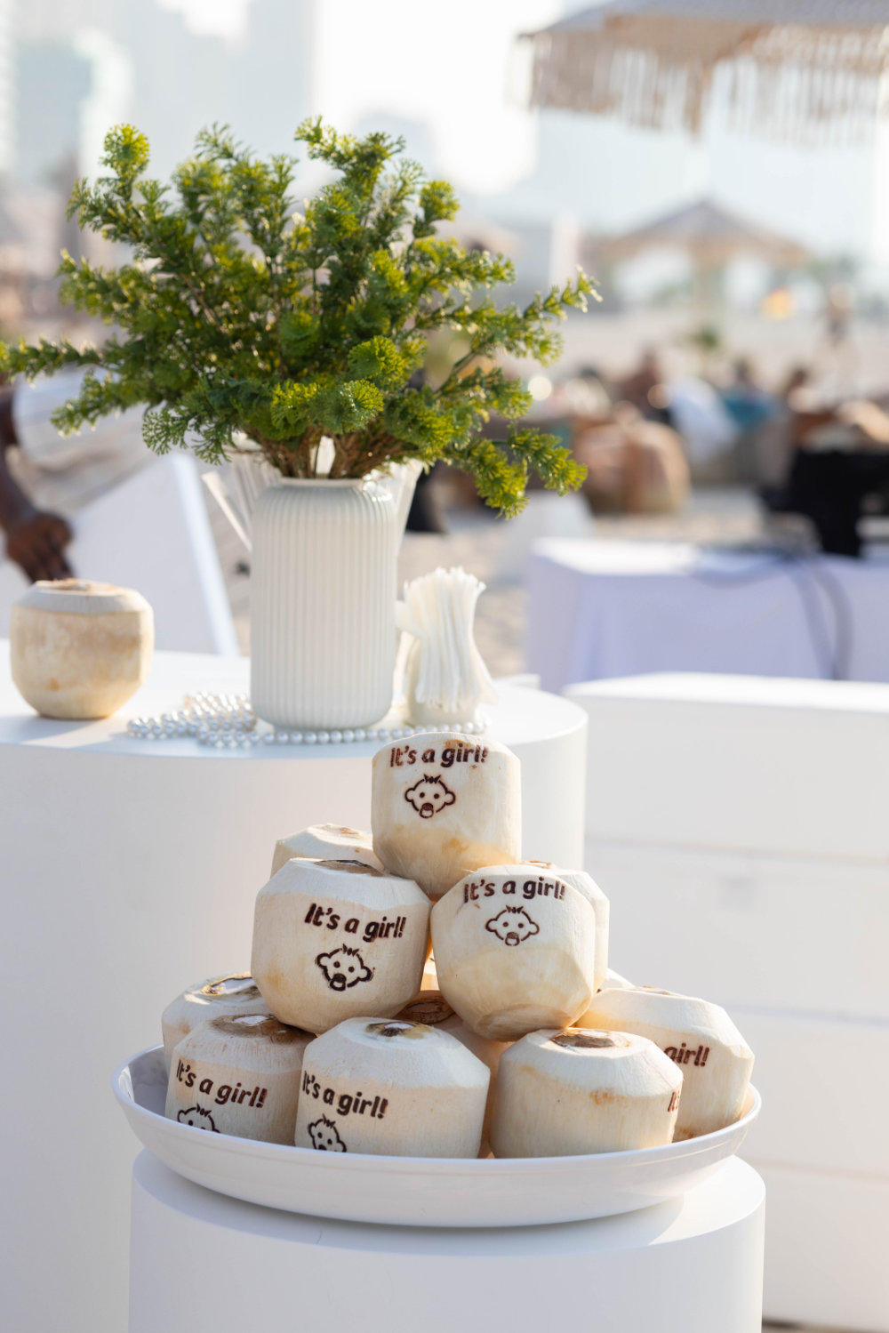 Beach Gender Reveal 2.0 Photos